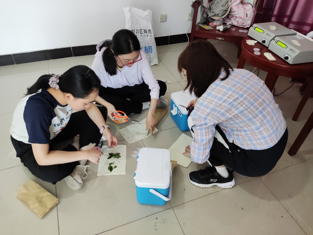 室内剪叶子(刘昱含&刘一瑶&王可欣) 室内剪叶子(刘昱含&刘一瑶&王可欣)