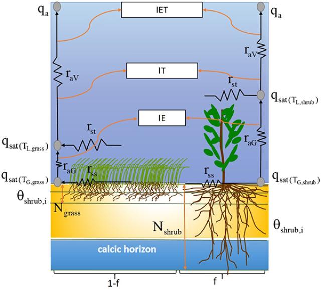 20180611152870074947600162.jpg 20180611-Fig 1.jpg